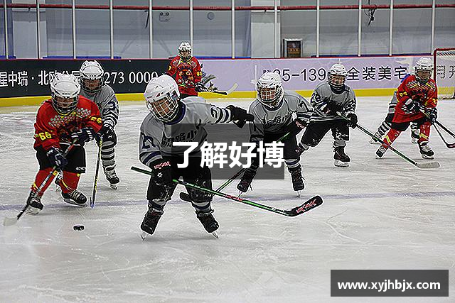 了解好博